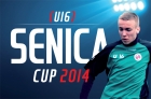 senica_cup2014.jpg